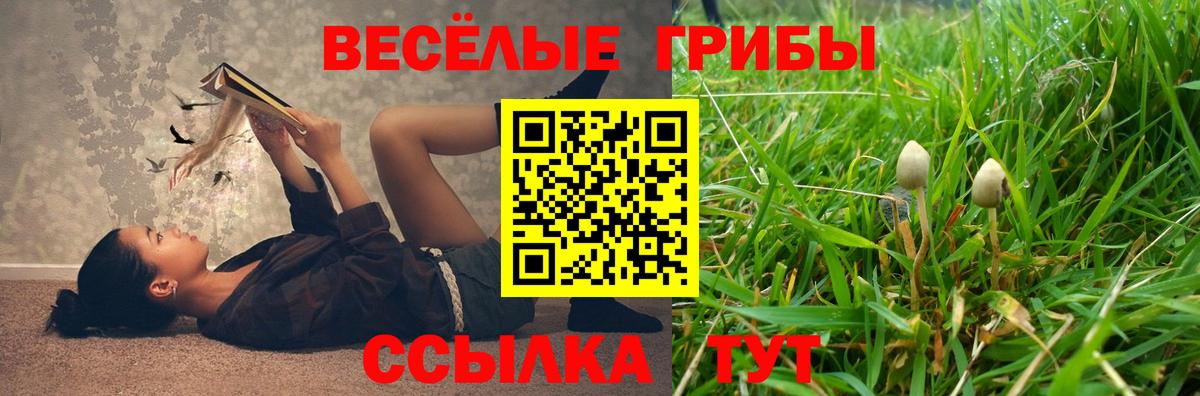 Псилоцибиновые грибы Psilocybine cubensis Тулун