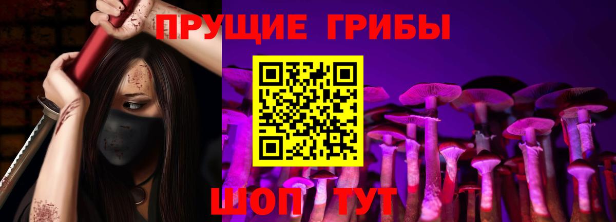 Галлюциногенные грибы прущие грибы  Вход с VPN  Галлюциногенные грибы Cubensis  Тулун 